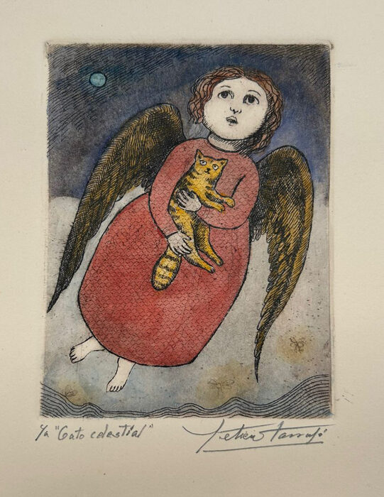 Gato celestial — Leticia Tarragó
