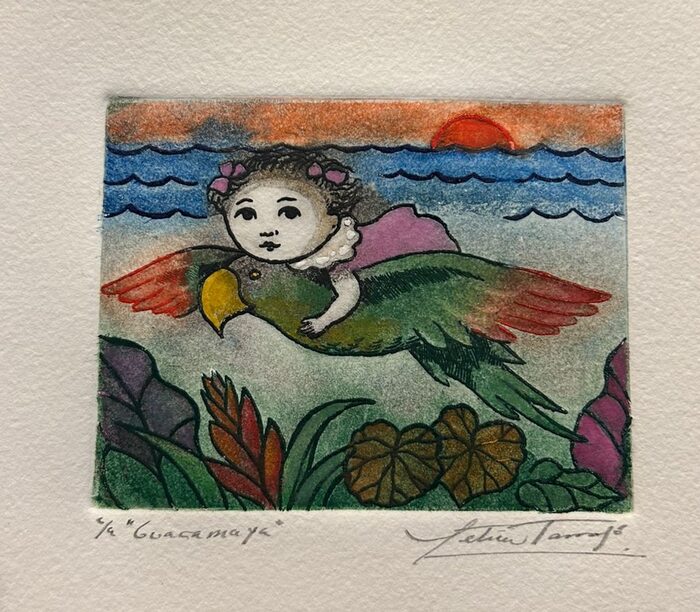 Guacamaya — Leticia Tarragó