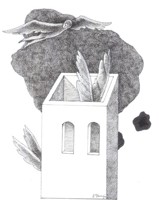Libélulas — Leticia Tarragó