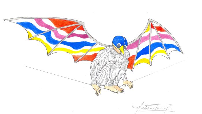 Volador — Leticia Tarragó