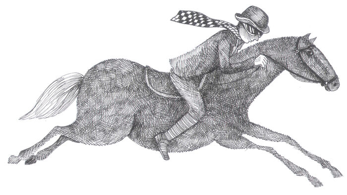 Competidores_caballo volador — Leticia Tarragó
